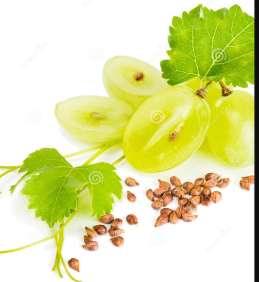 8535